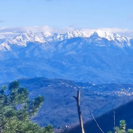 Casa Daisy Apartment *