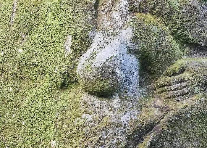 Apartment Casa Daisy